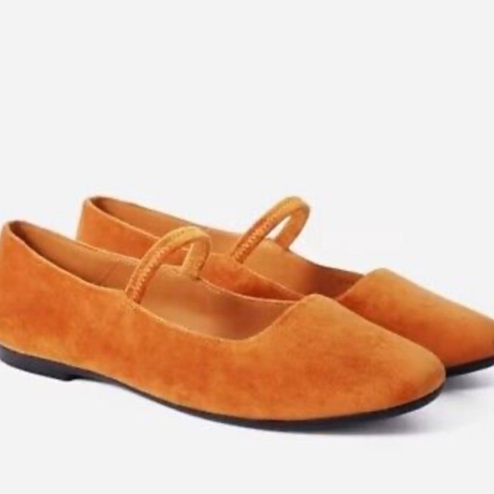 Everlane Suede Mary Jane Ballet Flats - Size 9